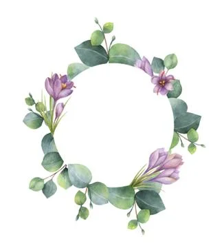Watercolor vector round wreath with eucalyptus leaves and flowers of saffron. Stock Illustration