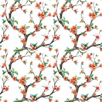 Watercolor vector sakura pattern 스톡 일러스트