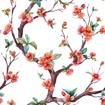 Watercolor vector sakura pattern Stock Illustration
