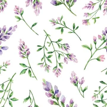 Watercolor vector seamless pattern with Alfalfa flowers and leaves isolated o Illustrazione stock