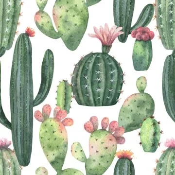 Watercolor vector seamless pattern of cacti and succulent plants isolated on Stock Illustration