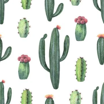 Watercolor vector seamless pattern of cacti and succulent plants isolated on Stock Illustration