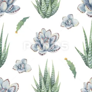 Watercolor vector seamless pattern of cacti and succulent plants isolated on Stock Illustration