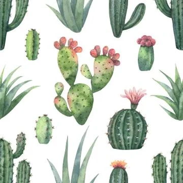 Watercolor vector seamless pattern of cacti and succulent plants isolated on Stock Illustration