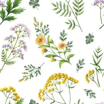 Watercolor vector seamless pattern with flowers and branches. Illustrazione stock