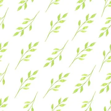 Watercolor vector seamless pattern with green branches and leaves isolated on Stock Illustration