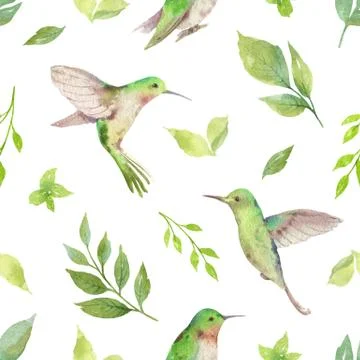 Watercolor vector seamless pattern with Hummingbird and green branches isolat Stock Illustration