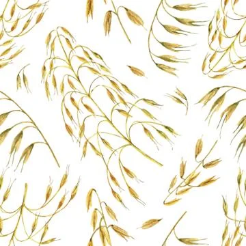 Watercolor vector seamless pattern with Oatstraw isolated on white background Stock Illustration