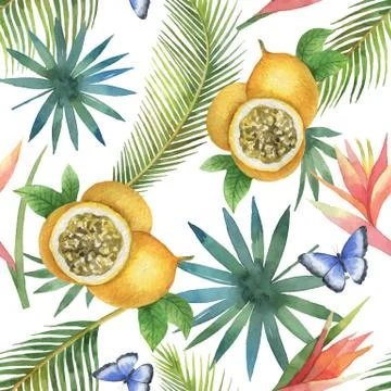 Watercolor vector seamless pattern of passion fruit and palm trees isolated on Stock Illustration