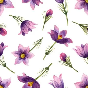 Watercolor vector seamless pattern with Violet flowers and leaves isolated on Stock Illustration