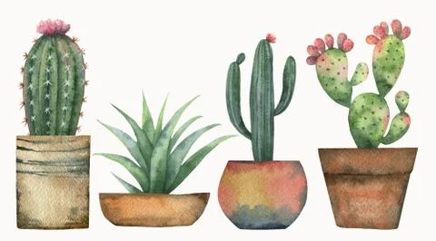 Watercolor vector set of cacti and succulent plants isolated on white background Stock Illustration