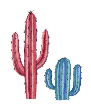 Watercolor vector set of cacti and succulent plants isolated on white background Stock Illustration