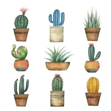 Watercolor vector set of cacti and succulent plants isolated on white background Stock Illustration