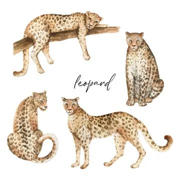 Watercolor vector set with leopard and green tropical leaves isolated on whit Stock Illustration