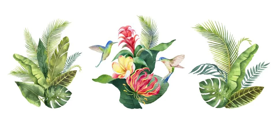 Watercolor vector set with tropical leaves, flowers and hummingbirds. Stock Illustration