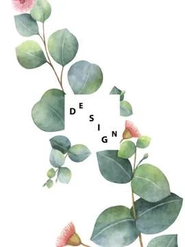 Watercolor vector template with green eucalyptus leaves and branches. Stock Illustration