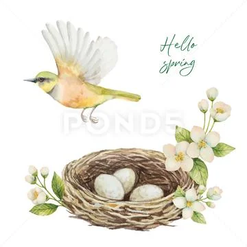 Watercolor vector wreath with bird, nest with eggs and flowers Jasmine isolated Stock Illustration