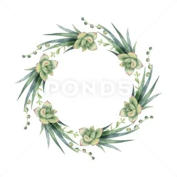 Watercolor vector wreath of cacti and succulent plants isolated on white Stock Illustration