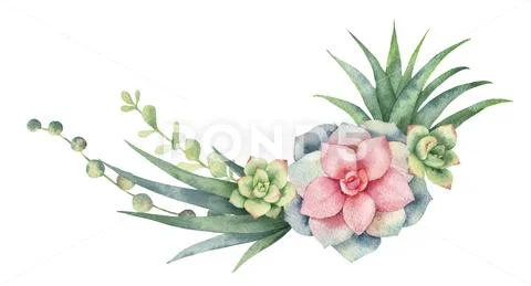 Watercolor vector wreath of cacti and succulent plants isolated on white Stock Illustration