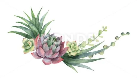 Watercolor vector wreath of cacti and succulent plants isolated on white Stock Illustration