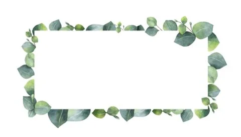 Watercolor vector wreath with green eucalyptus leaves and branches. Stock Illustration