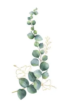 Watercolor vector wreath with green eucalyptus leaves and gold elements Illustrazione stock