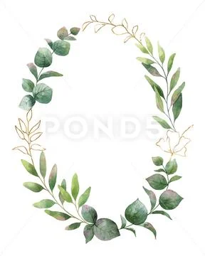 Watercolor Vector Wreath With Green Eucalyptus Leaves And Flowers .