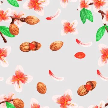 Watercolor vegetable 1 seamless pattern of the branches nuts almonds for deco Stock Illustration