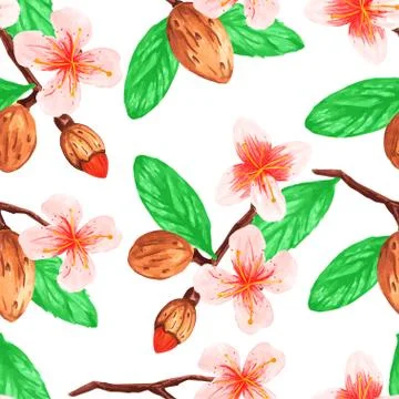 Watercolor vegetable 3 seamless pattern of the branches nuts almonds for deco Stock Illustration