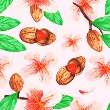 Watercolor vegetable 5 seamless pattern of the branches nuts almonds for deco Stock Illustration