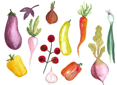 Watercolor vegetable elements on white background. Different vegetables Stock Illustration