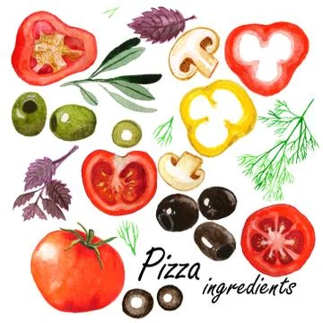 Watercolor vegetables set Stock Illustration