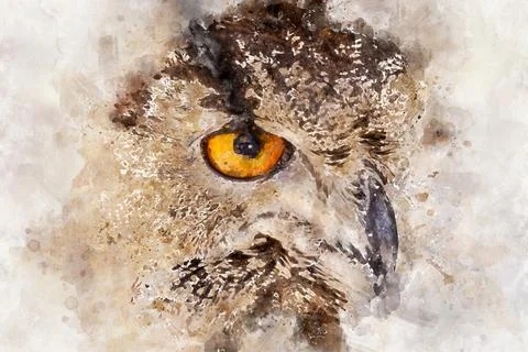 Watercolor, Watching eagle owl in a sample of birds of prey, medieval fair Stock Illustration