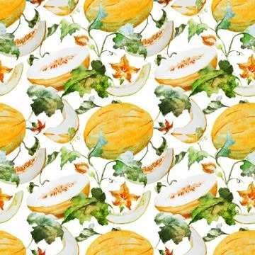 Watercolor watermelon melon pattern Stock Illustration