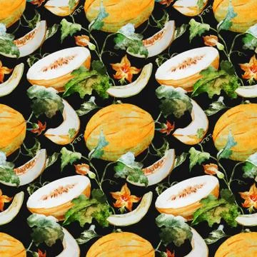 Watercolor watermelon melon pattern Stock Illustration