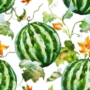 Watercolor watermelon melon pattern Stock Illustration