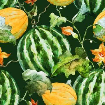 Watercolor watermelon melon pattern Stock Illustration