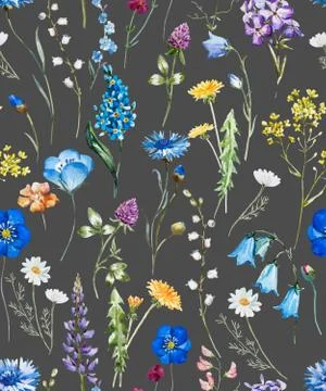 Watercolor wild flowers pattern Stock Illustration