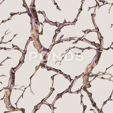 Watercolor winter vintage botanical seamless pattern, natural texture Stock Illustration
