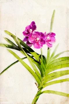 Watercolored orchid Фото