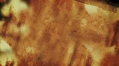 Watercolors Stock After Effects