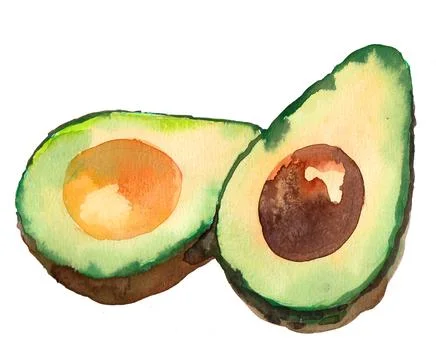 Watercolour avocado Stock Illustration