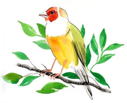 Watercolour bird Illustrazione stock