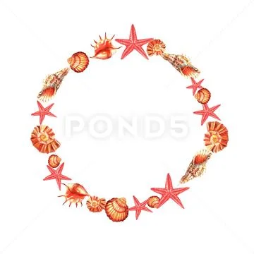 Watercolour circle frame of shells and sea-star Stock Illustration