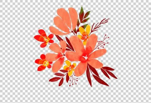 Watercolour-flowers Stock Illustration
