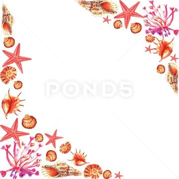 Watercolour frame of pink corals, shells, sea-star Stock Illustration