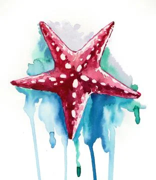 Watercolour starfish Illustrazione stock