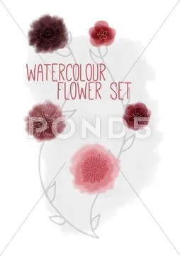 Watercolour Style Flower Set PSD Template
