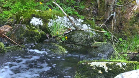 Watercourse 05 Stock Footage 23408959