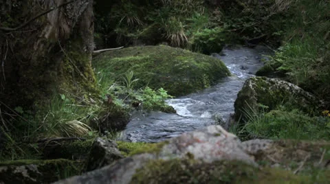 Watercourse 08 Stock Footage 23410548